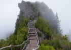 卵泡大小与生育能力，探讨卵泡成熟度的关键指标
